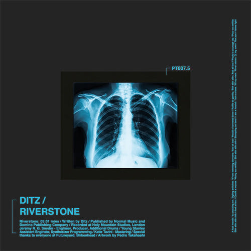 DITZ - RIVERSTONE [7" Vinyl]