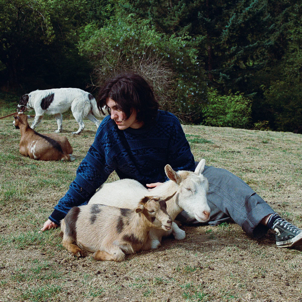 Searows - End Of The World [Transparent Forest Green]