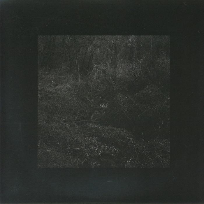 Lesley Mok - Transient