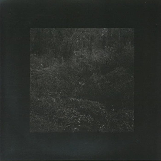 Lesley Mok - Transient