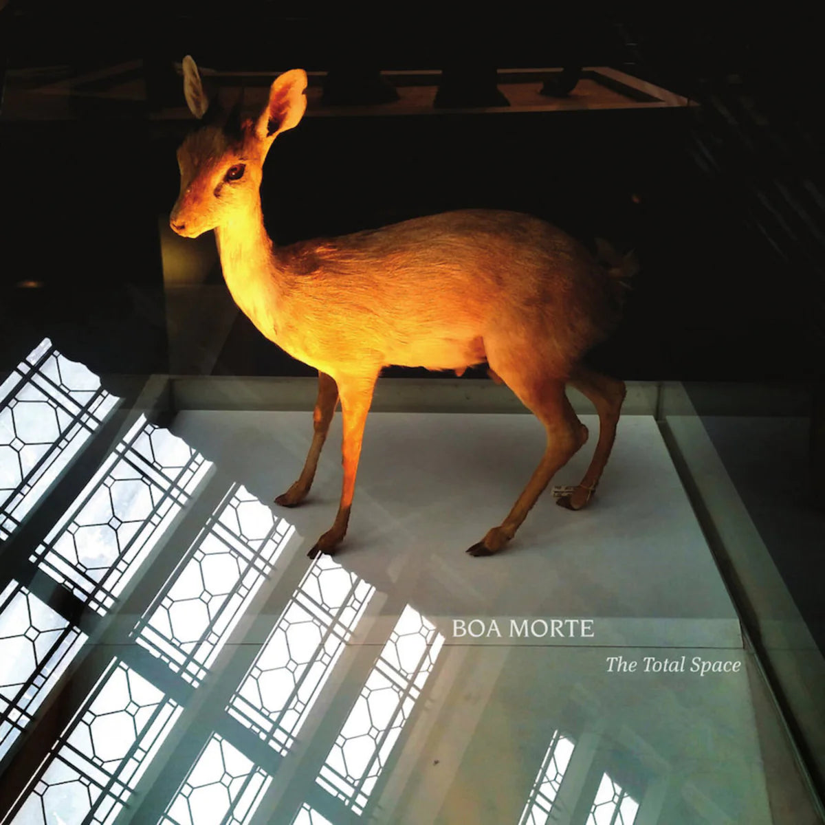 Boa Morte - The Total Space [LP]