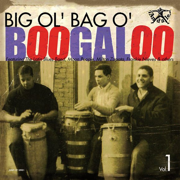 Various Artists - Big Ol' Bag of Boogaloo Vol. 1