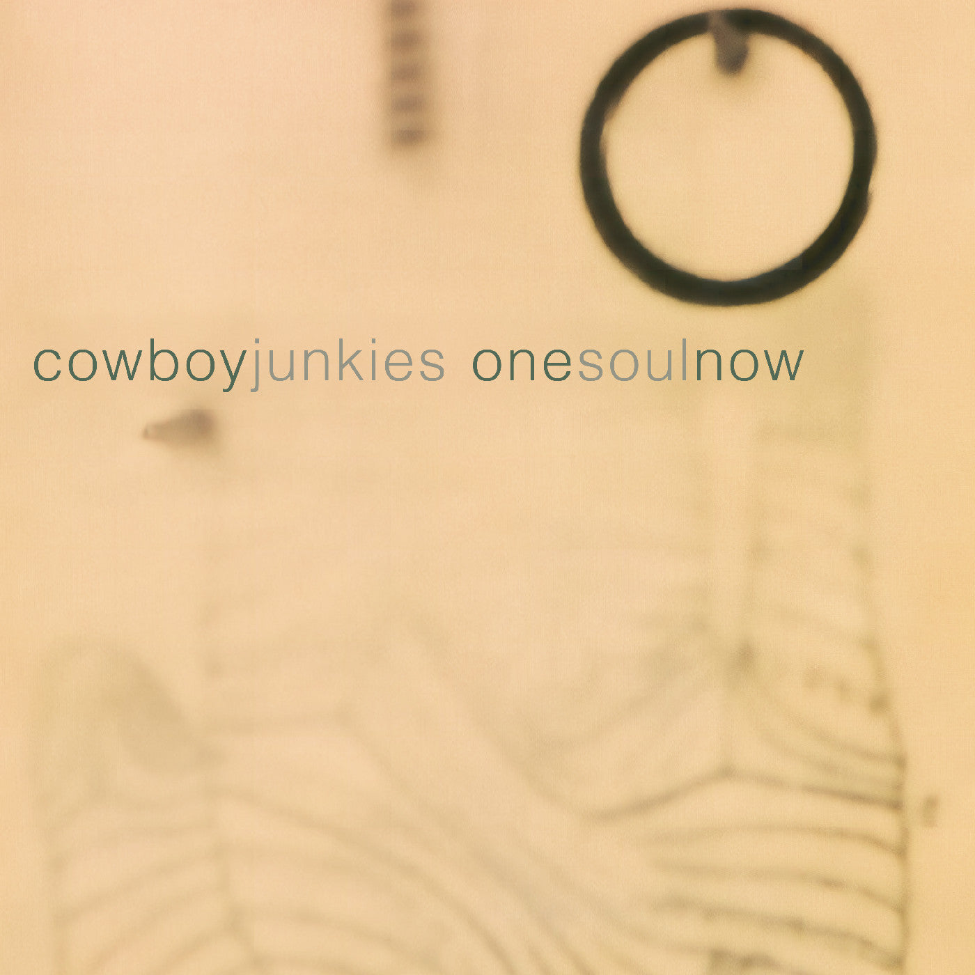Cowboy Junkies - One Soul Now [CD]