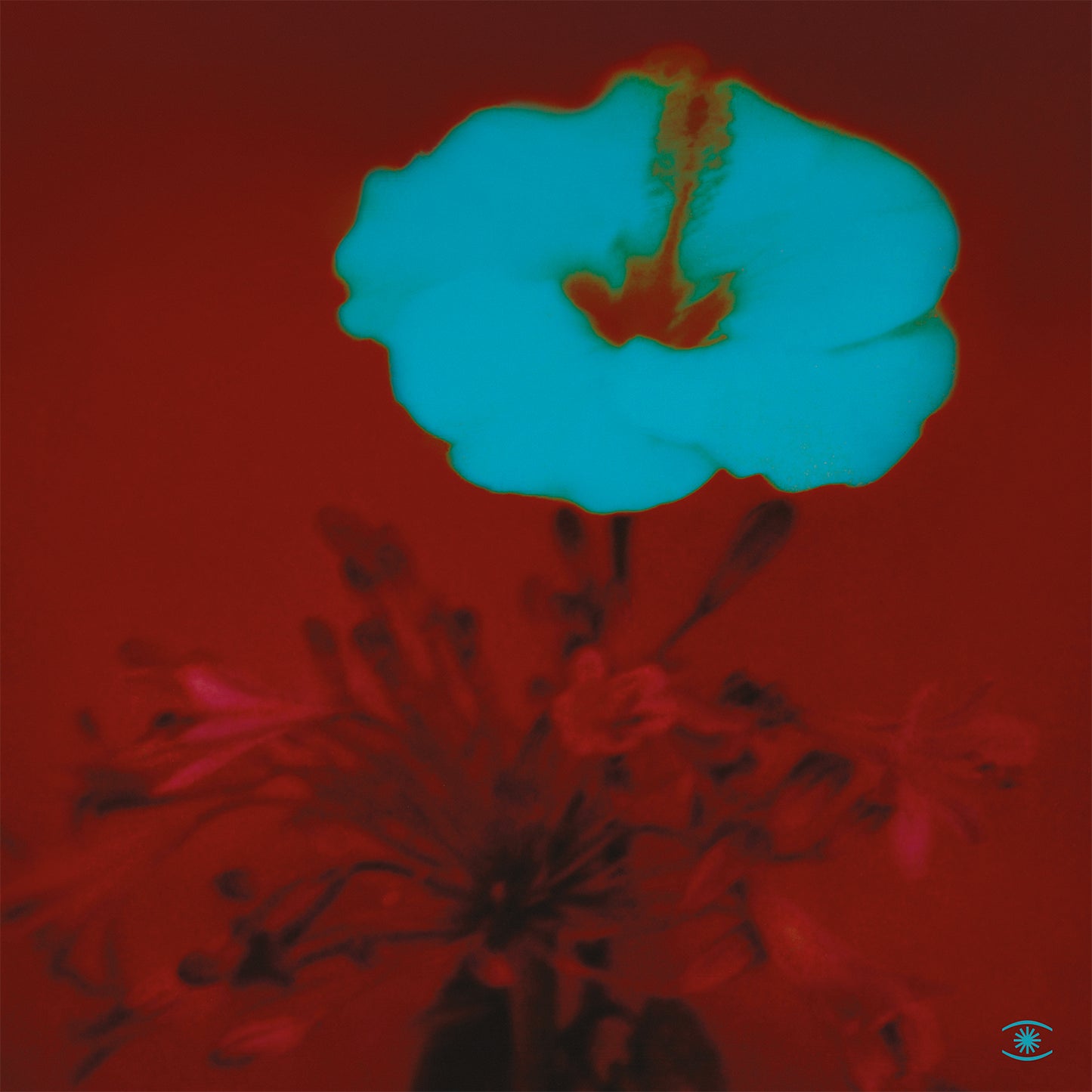 John Beltran - Sunrise And The Way We Live [2LP]