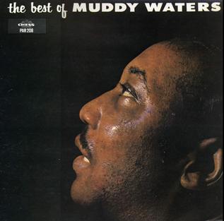 MUDDY WATERS - The Best Of Muddy Waters