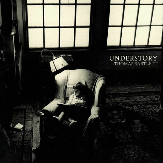 Thomas Bartlett - Understory [CD]