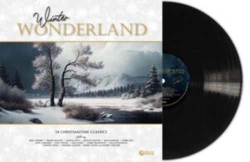 VARIOUS ARTISTS - Winter Wonderland