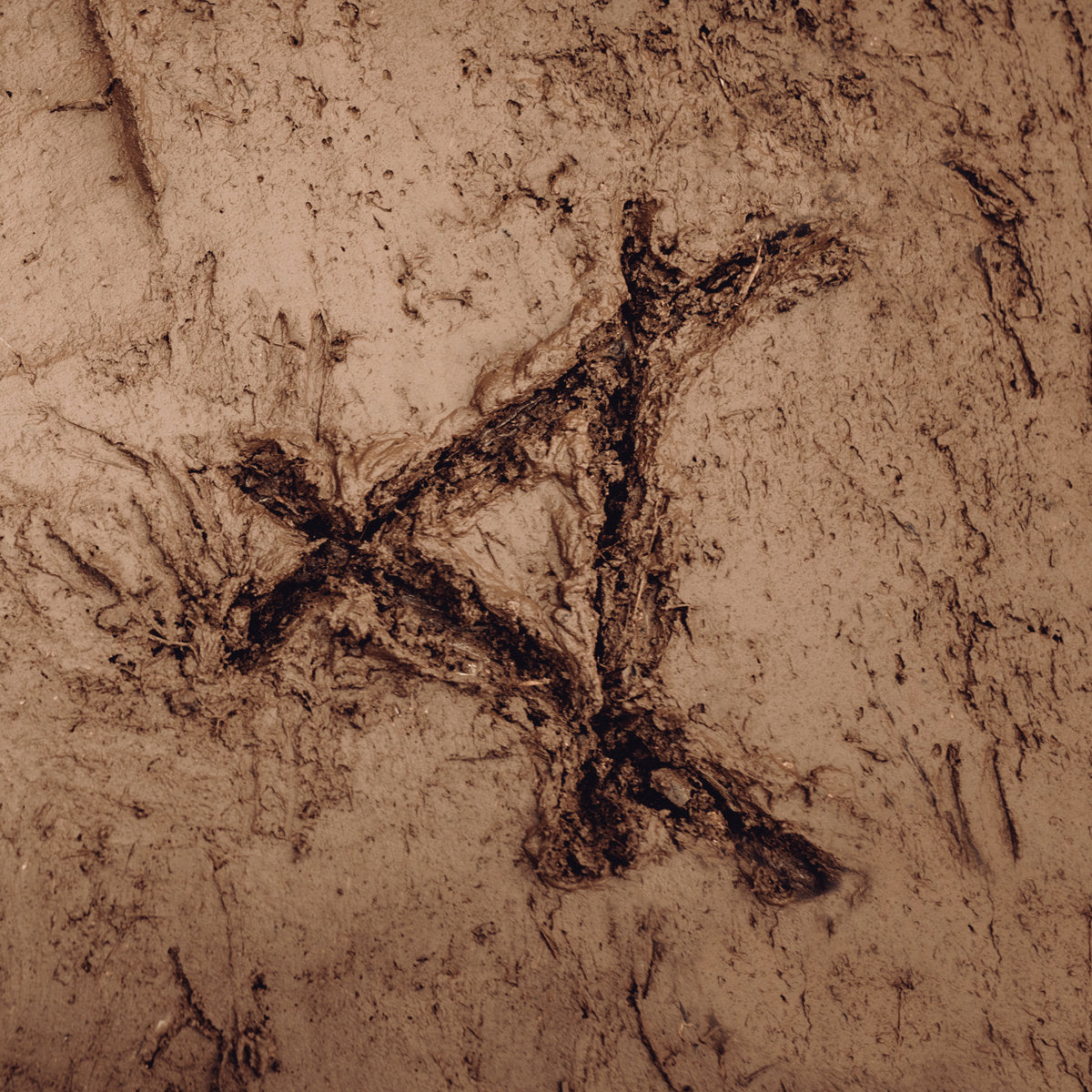 Cassels - Tracked In Mud [Eco-Mix Vinyl]