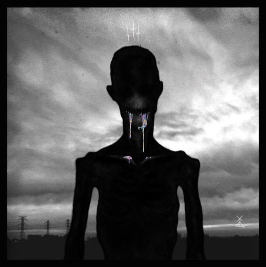 Sectra – ENV017 (Encrypted audio vinyl)