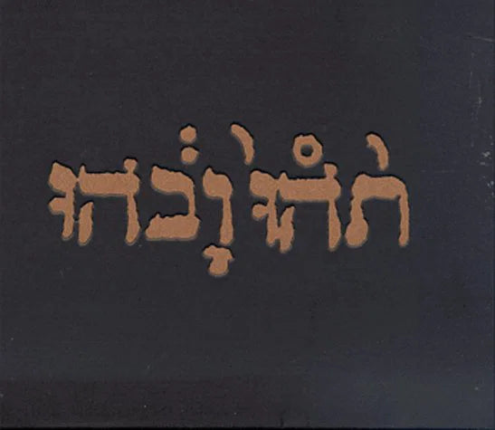 GODSPEED YOU! BLACK EMPEROR - Slow Riot for New KANADA [CD]