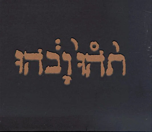 GODSPEED YOU! BLACK EMPEROR - Slow Riot for New KANADA [CD]