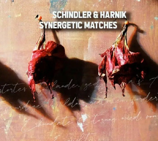 SCHINDLER & HARNIK - SYNERGETIC MATCHES [CD]