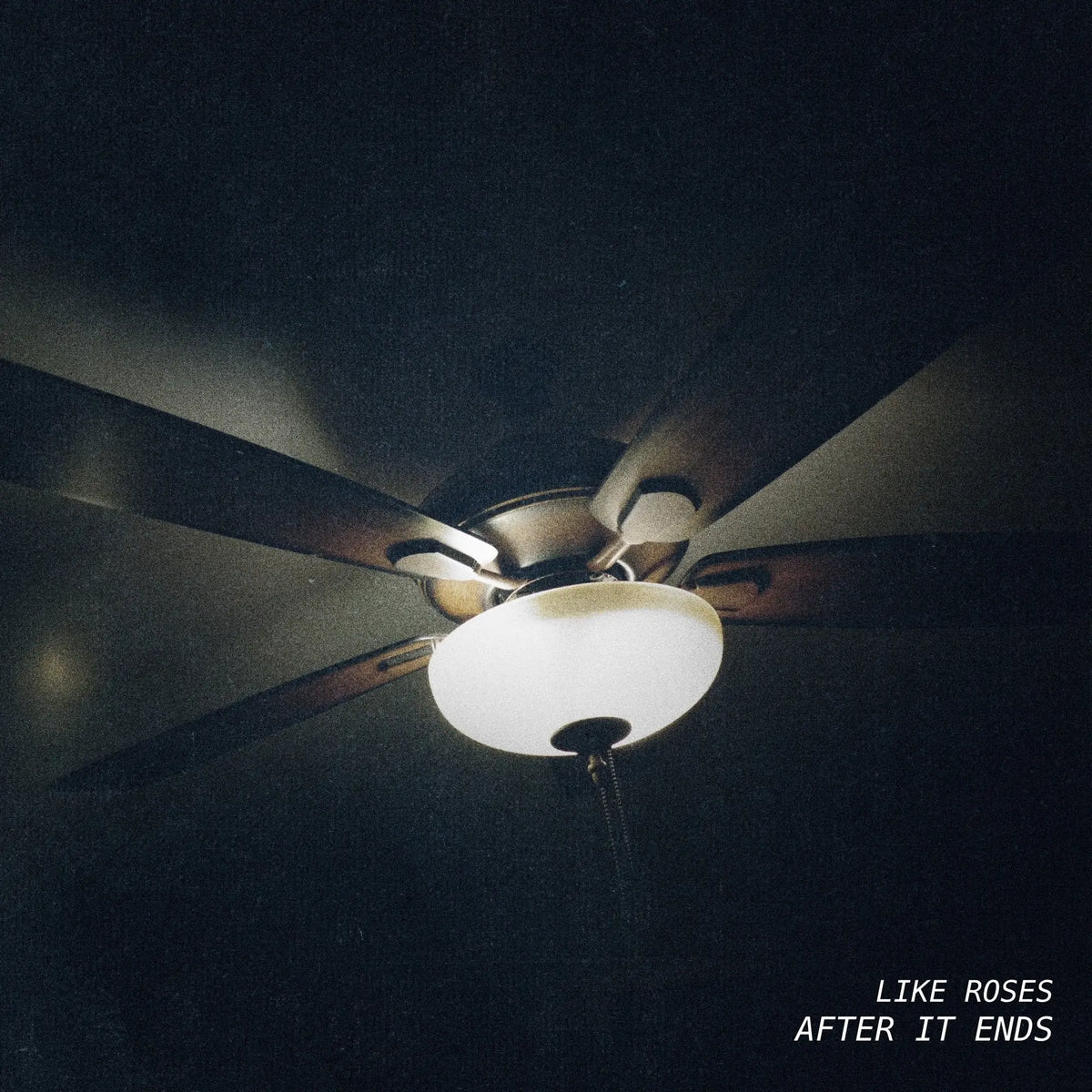 Like Roses - After It Ends [CD]