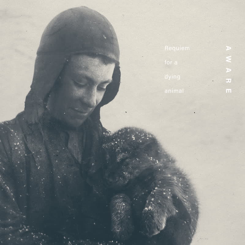 Aware - Requiem For A Dying Animal [CD]