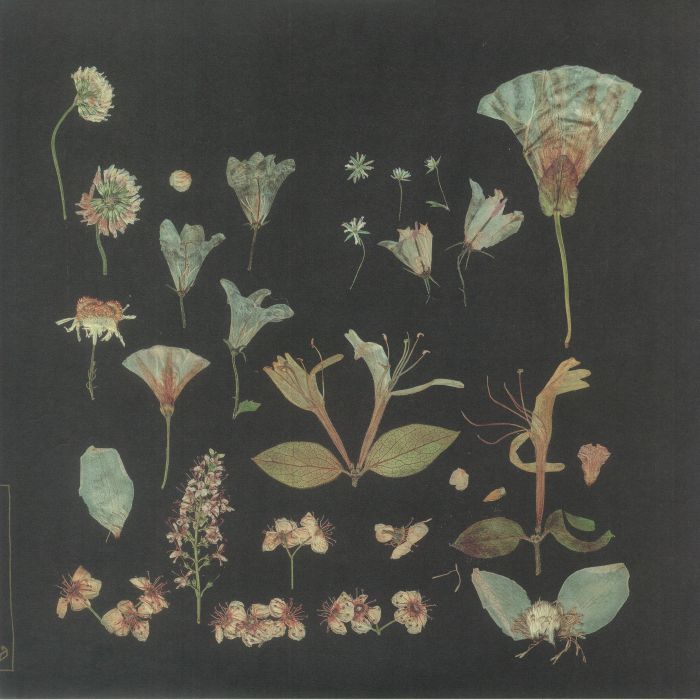 LEAVING LAUREL - WHEN THE QUIET COMES [2LP Cream]