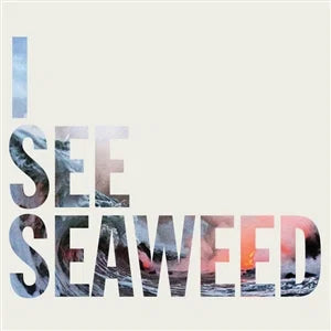 THE DRONES - I SEE SEAWEED [2LP]