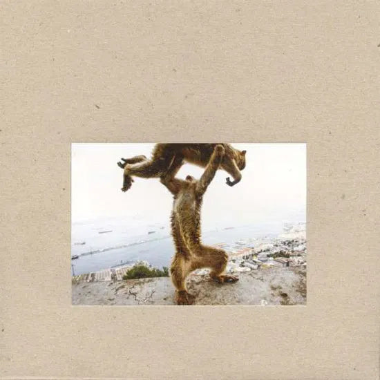SHELLAC - DUDE INCREDIBLE [LP + BONUS CD]