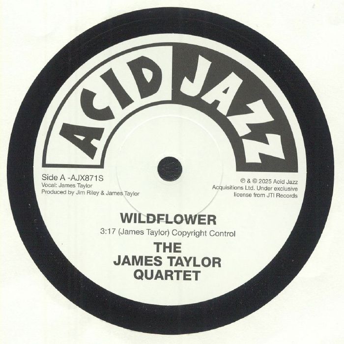 JAMES TAYLOR QUARTET - Guiding Light/Wildflower [7" Vinyl]
