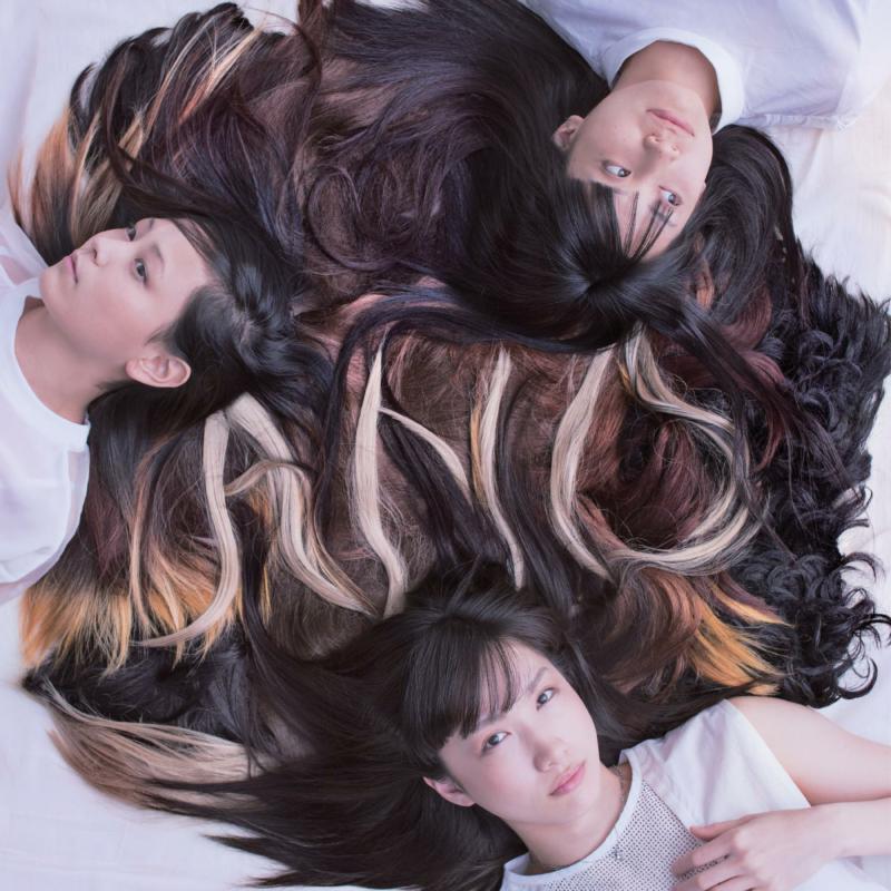 Tricot - A N D (Deluxe Edition) [180g Black & Pink]