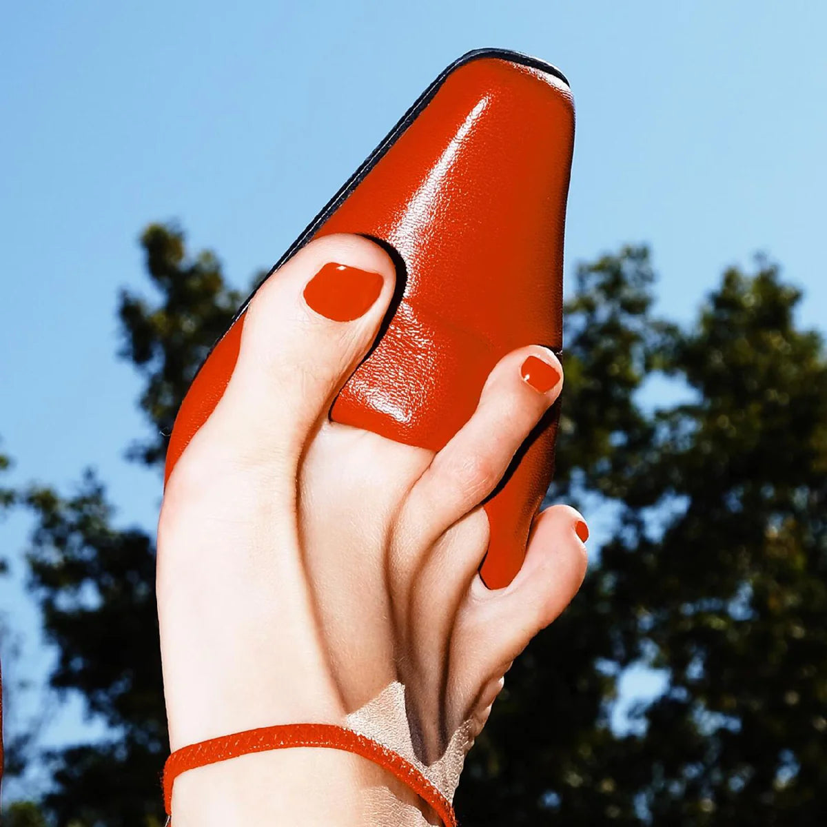 Kindsight - No Shame No Fame [LP Insert w/ Lyrics, First Pressing of 300]