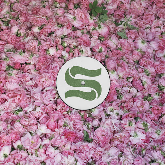 Braxe + Falcon - Step By Step Remixes