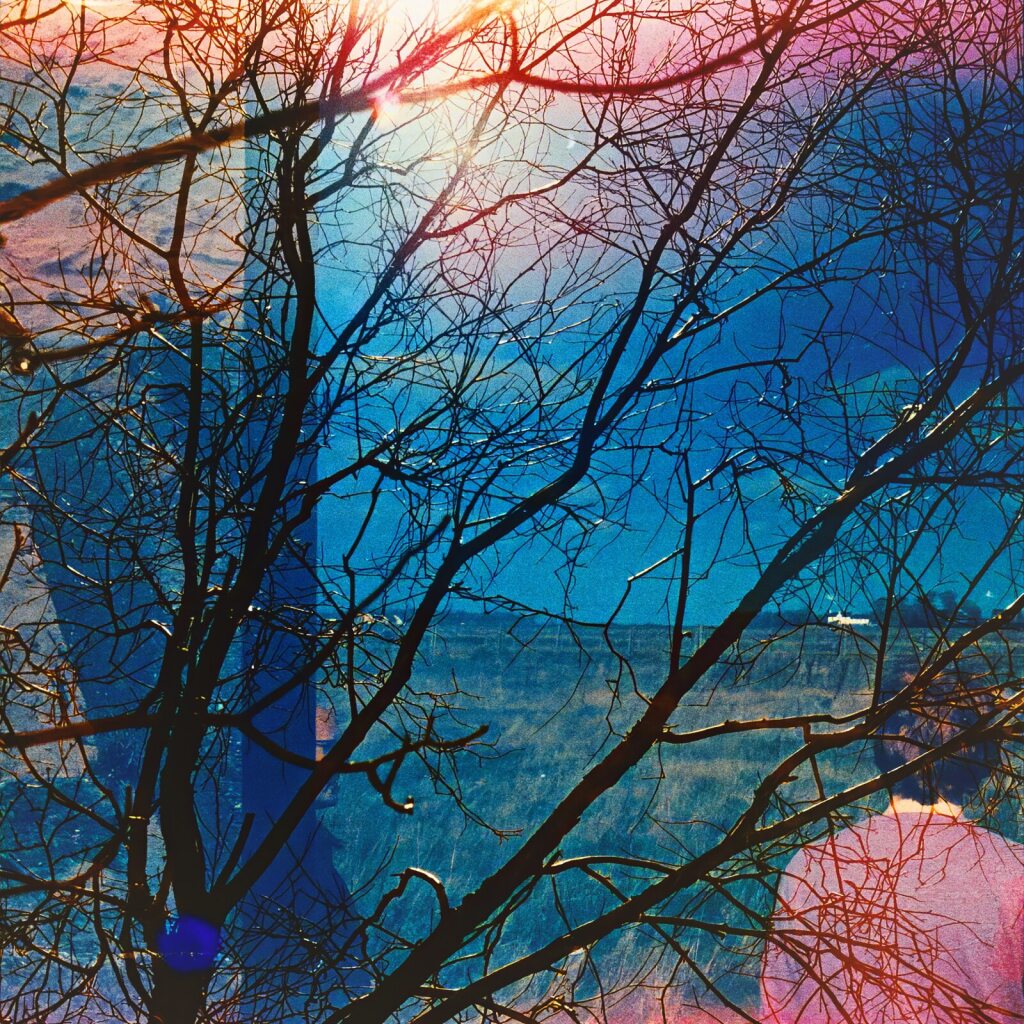 Idlewild - Idlewild [LP]