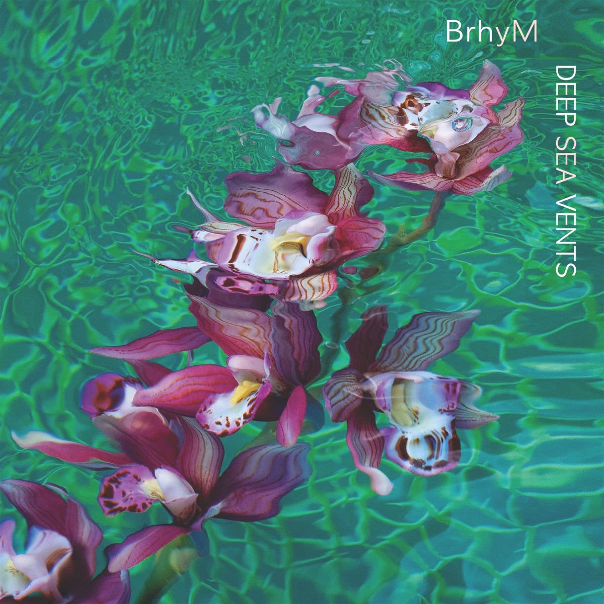 BrhyM - Deep Sea Vents [CD]
