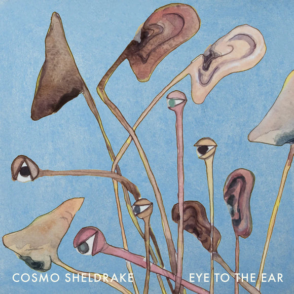 COSMO SHELDRAKE - EYE TO THE EAR [2LP]