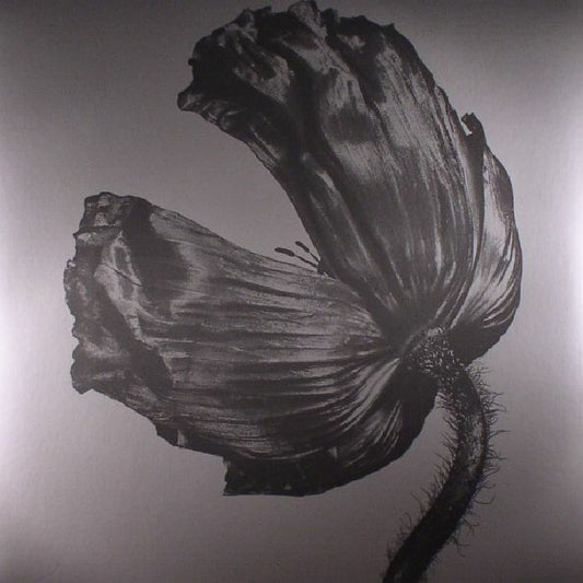 PET SHOP BOYS - RELEASE