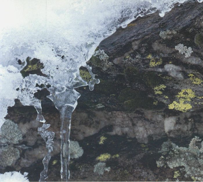 R BENY - Feedback Memory [CD]