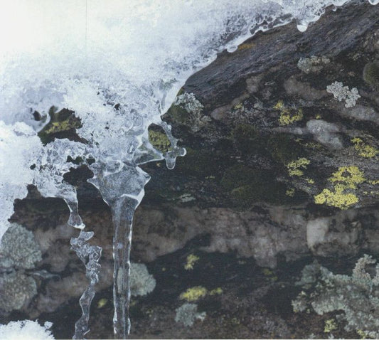 R BENY - Feedback Memory [CD]
