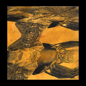 Tashi Dorji - Tashi Dorji [LP]