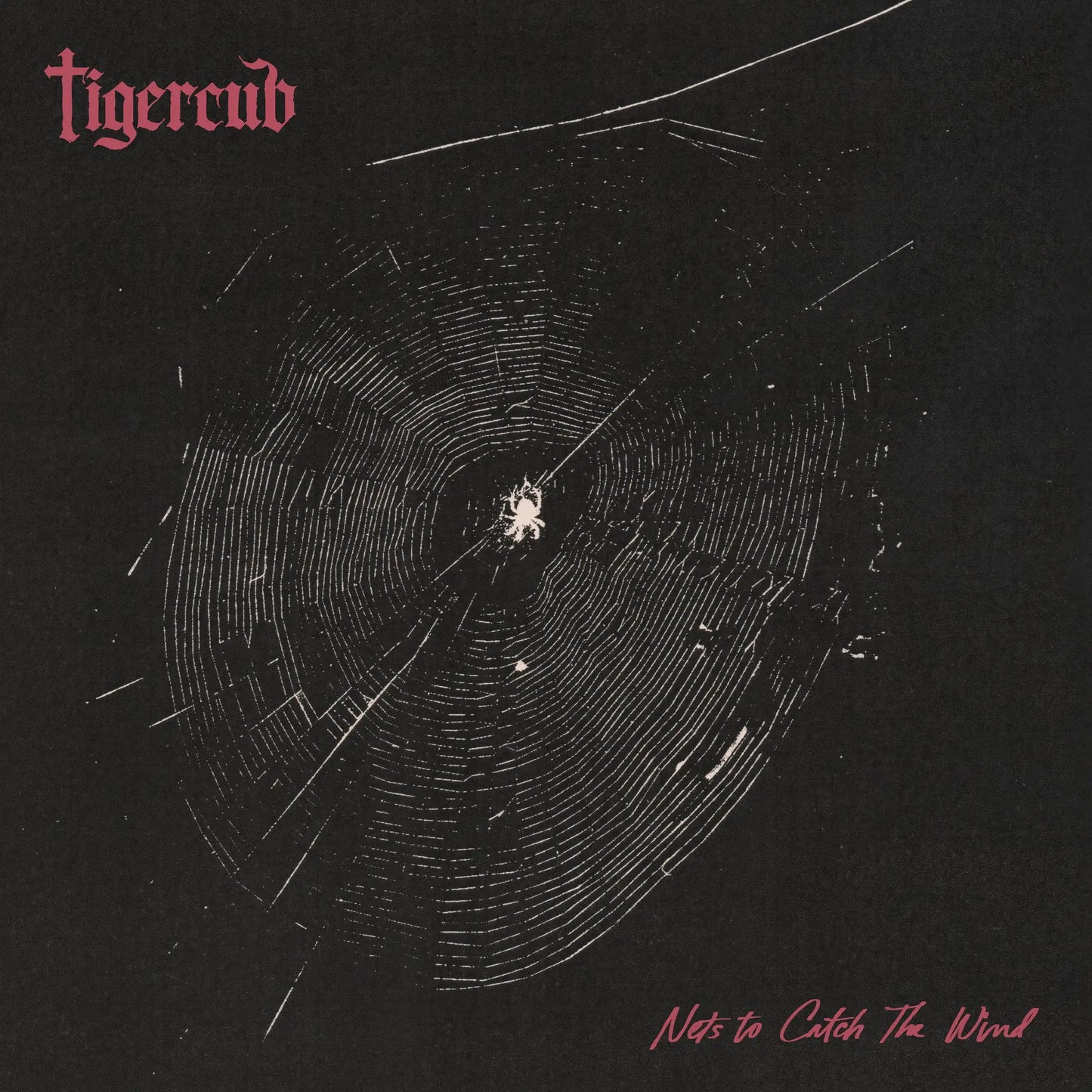 Tigercub - Nets to Catch the Wind [CD]