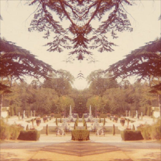 Tom James Scott – Nightshade