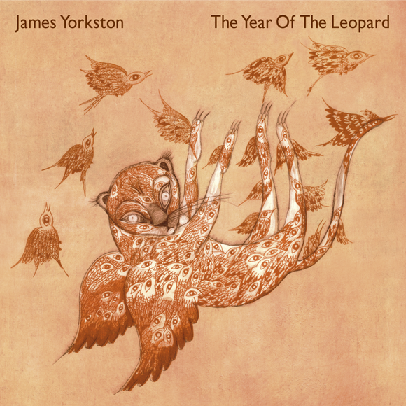 James Yorkston - The Year Of The Leopard [2LP]