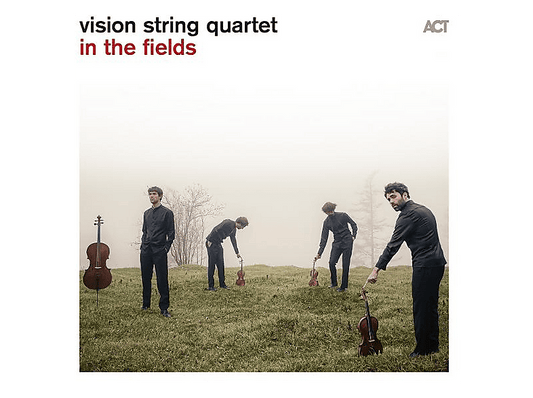 Vision String Quartet - In the Fields