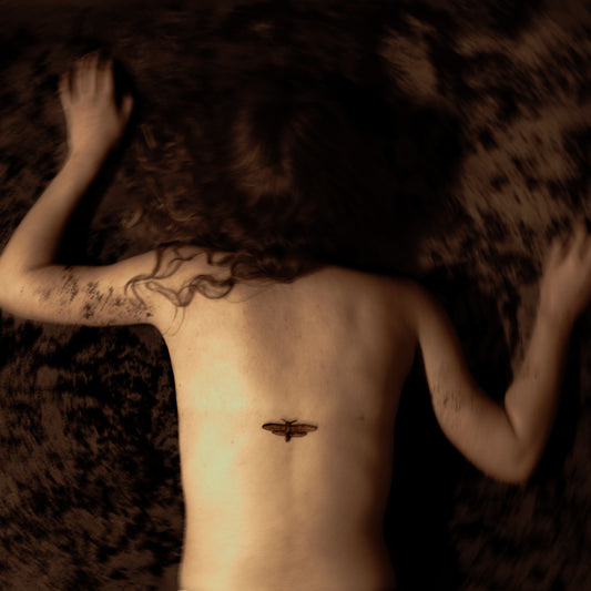 Svart Ridå - Aponia