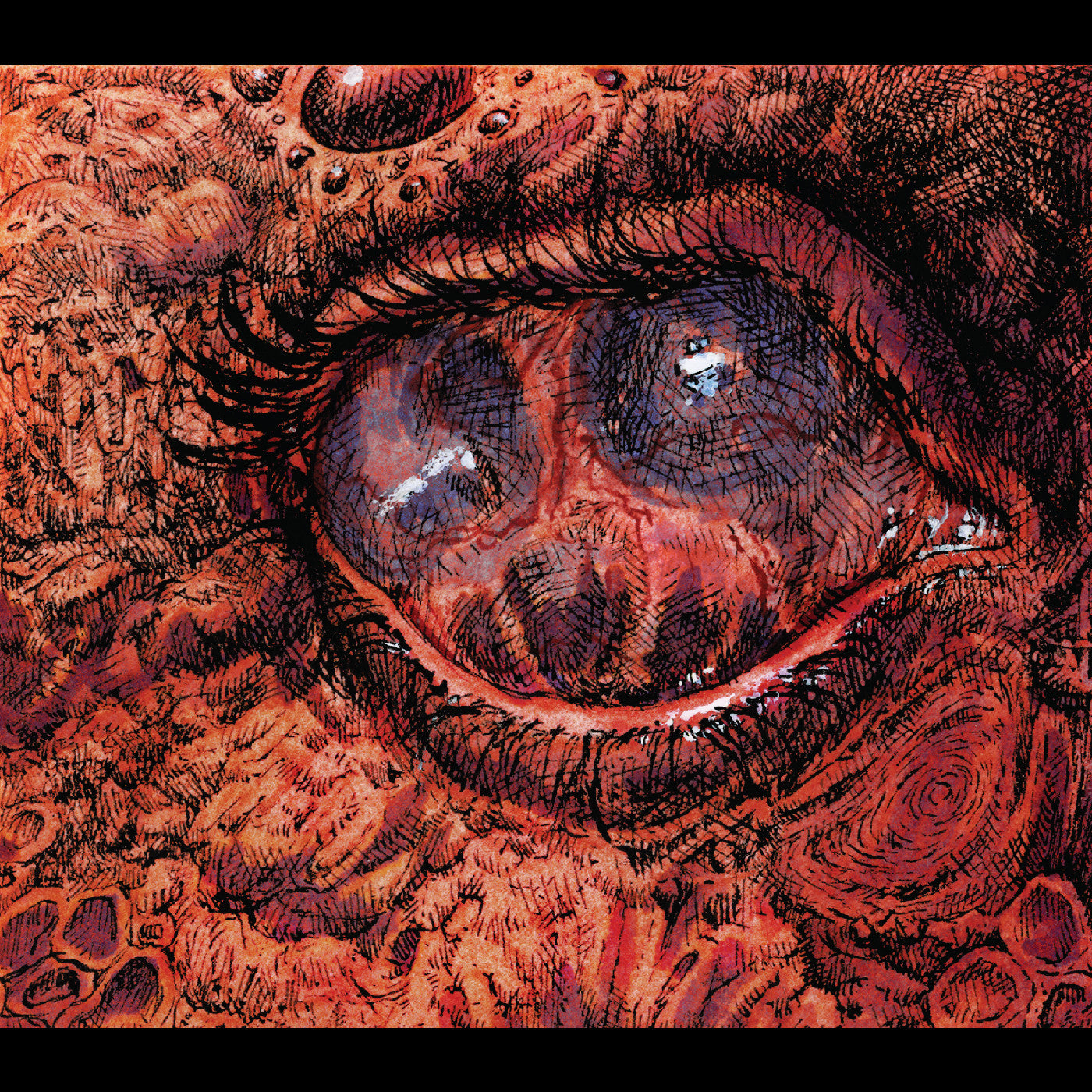 Shardik - Cruelty Bacchanal [CD]