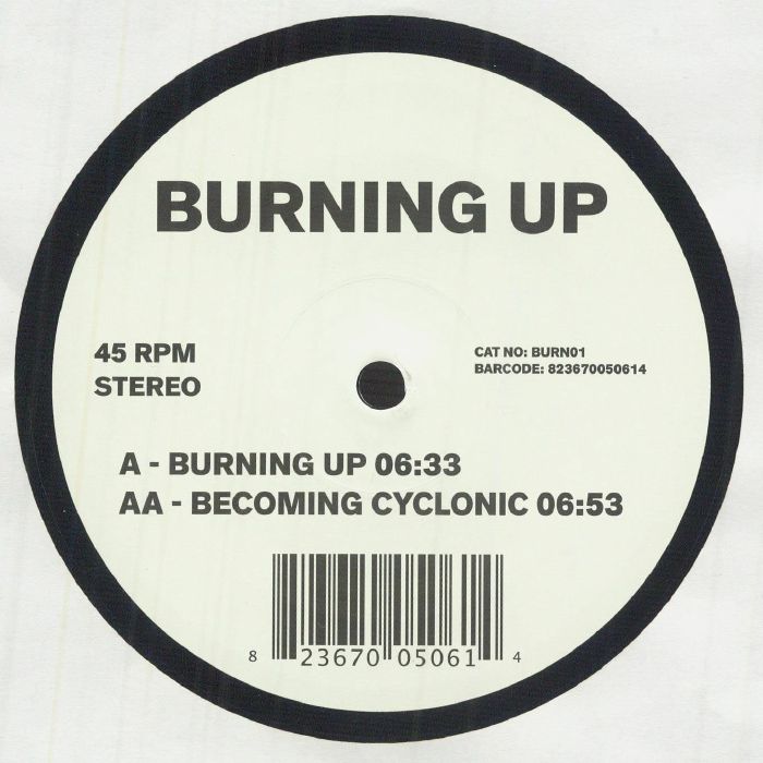 JIMPSTER - Burning Up [10" Vinyl]