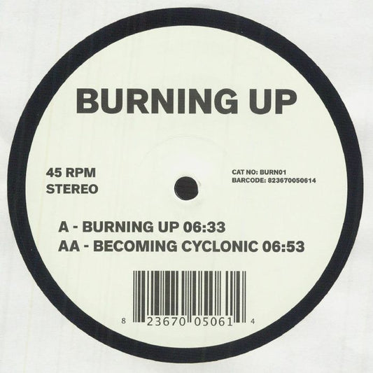 JIMPSTER - Burning Up [10" Vinyl]