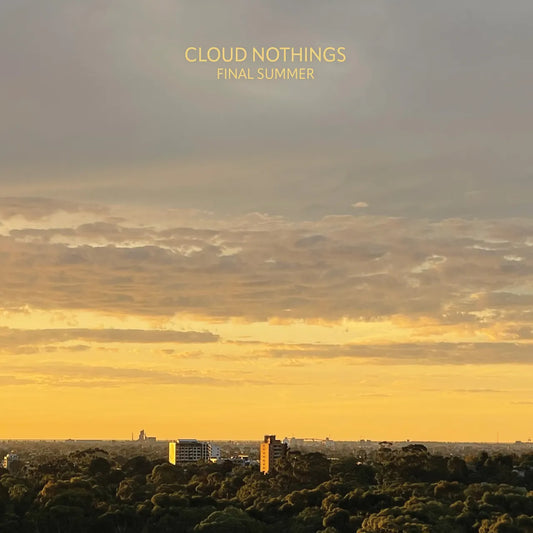 Cloud Nothings - Final Summer [Marbled Amethyst Vinyl]