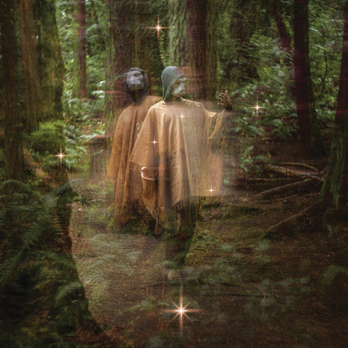 Terror/Cactus - Forastero [LP 180g]