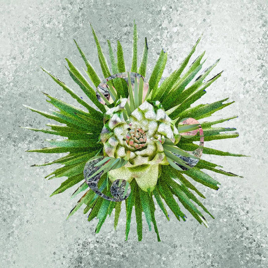 How??? - How??? [Ultra Clear Vinyl, 150g Vinyl]