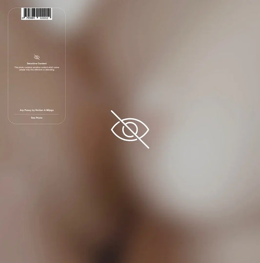 NORKEN & MIJAGA - ARP PUSSY [CD]