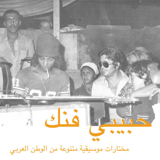 Various Artists - AN ELECTIC SELECTION OF MUSIC FROM THE ARAB WORLD [2LP]