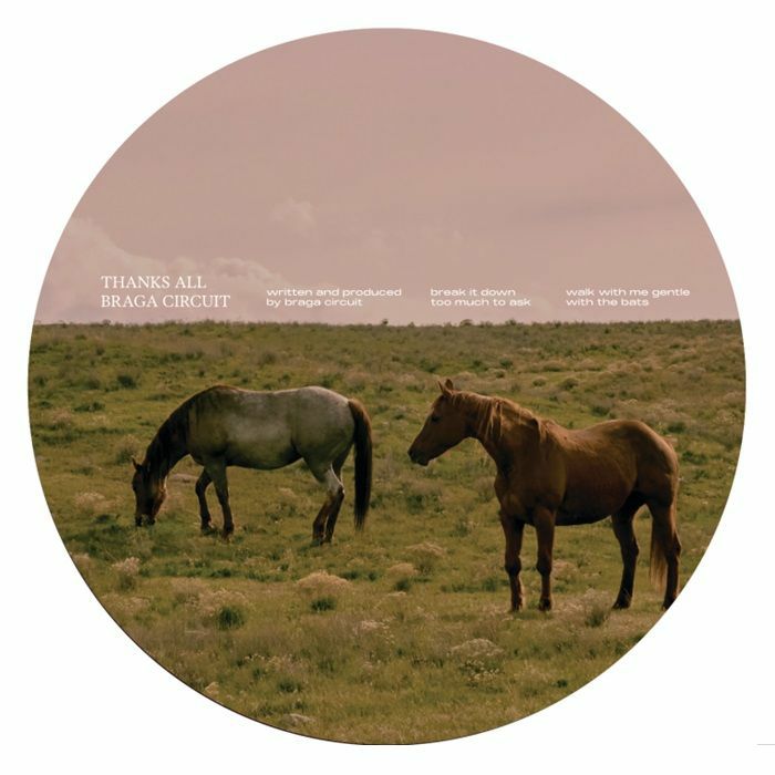 BRAGA CIRCUIT - Thanks All