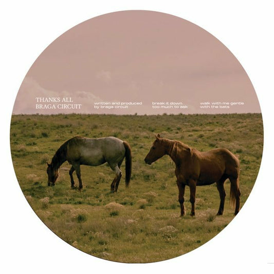 BRAGA CIRCUIT - Thanks All