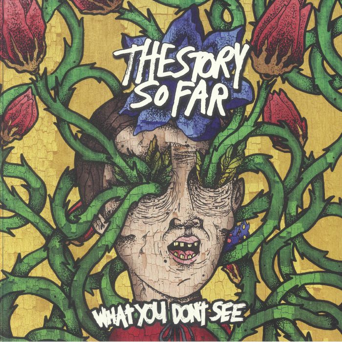 The STORY SO FAR - What You Don't See [clear orange & blue marbled vinyl]