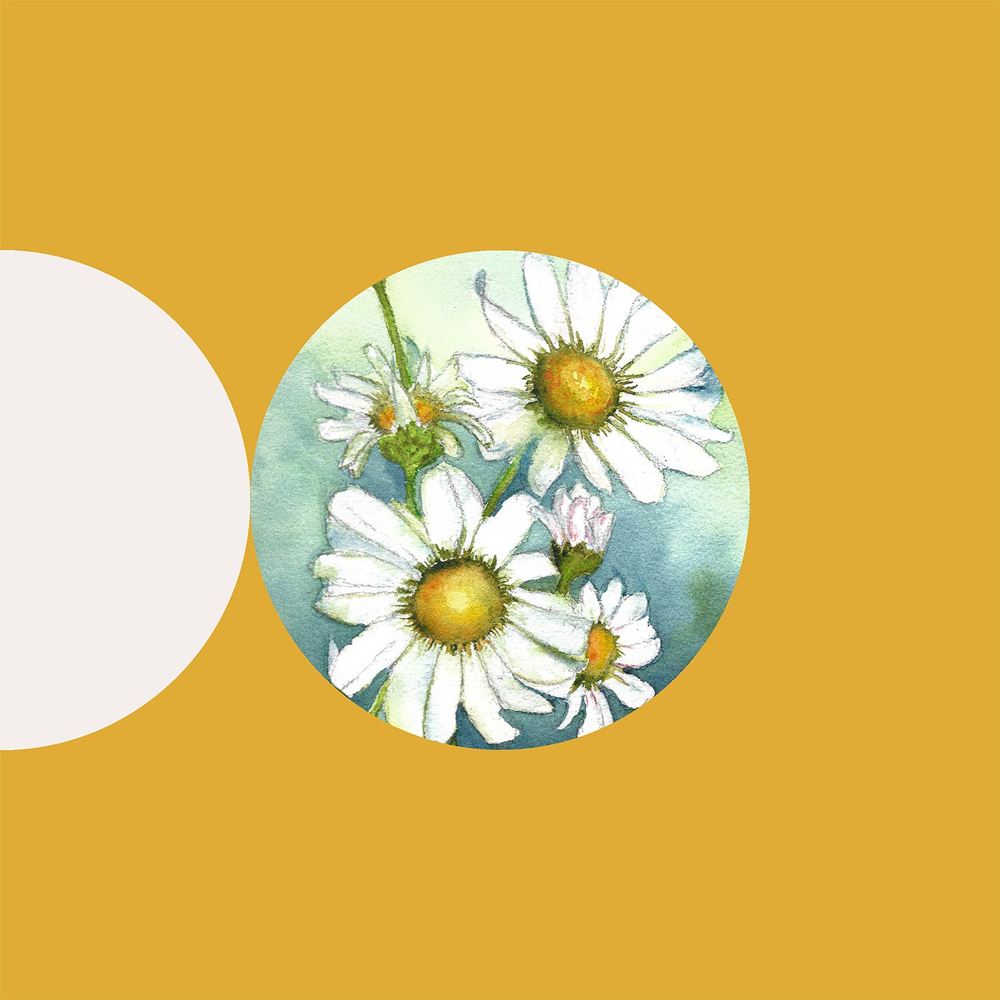 Lost Desert - Pagode