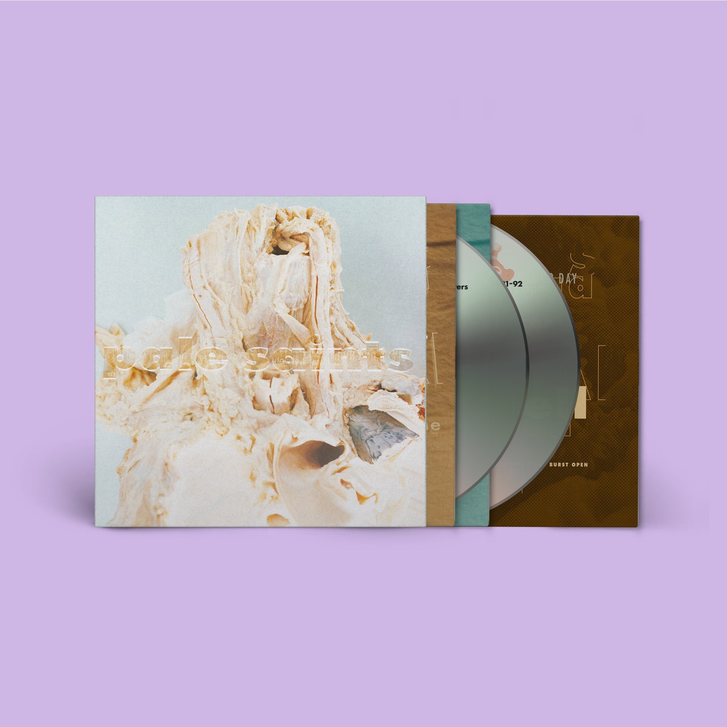 Pale Saints - “In Ribbons” (Expanded 30th Anniversary Reissue) [2CD]